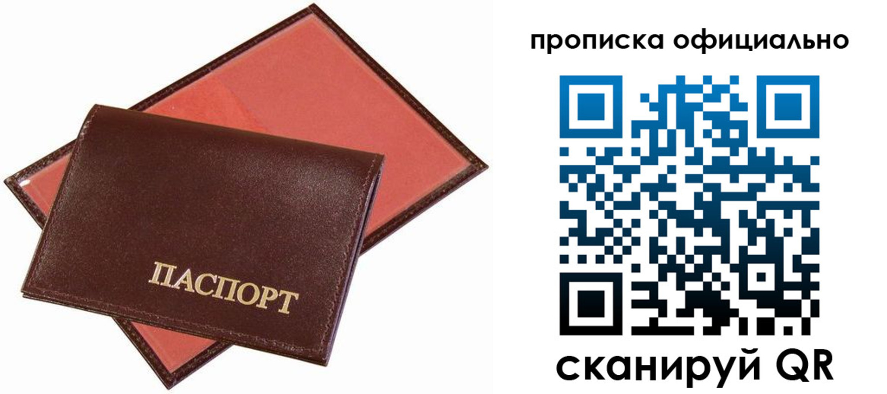 временная регистрация гарантия в Североморске